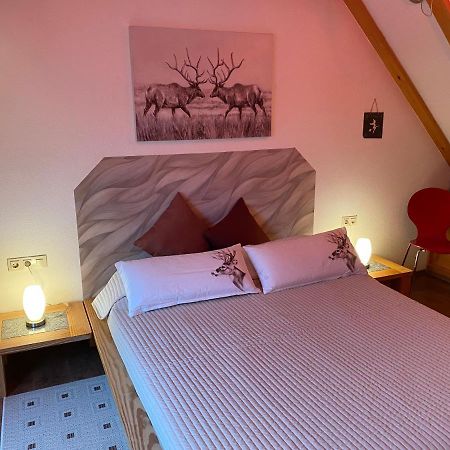 Gipfel Lounge Apartment Goslar Bagian luar foto