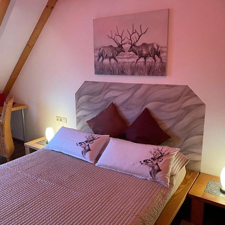 Gipfel Lounge Apartment Goslar Bagian luar foto